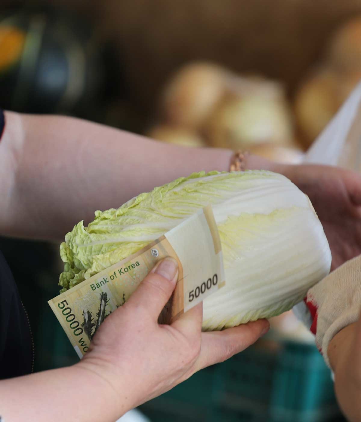 경동시장을 찾은 시민이 배추를 구매하고 있다. / 뉴스1