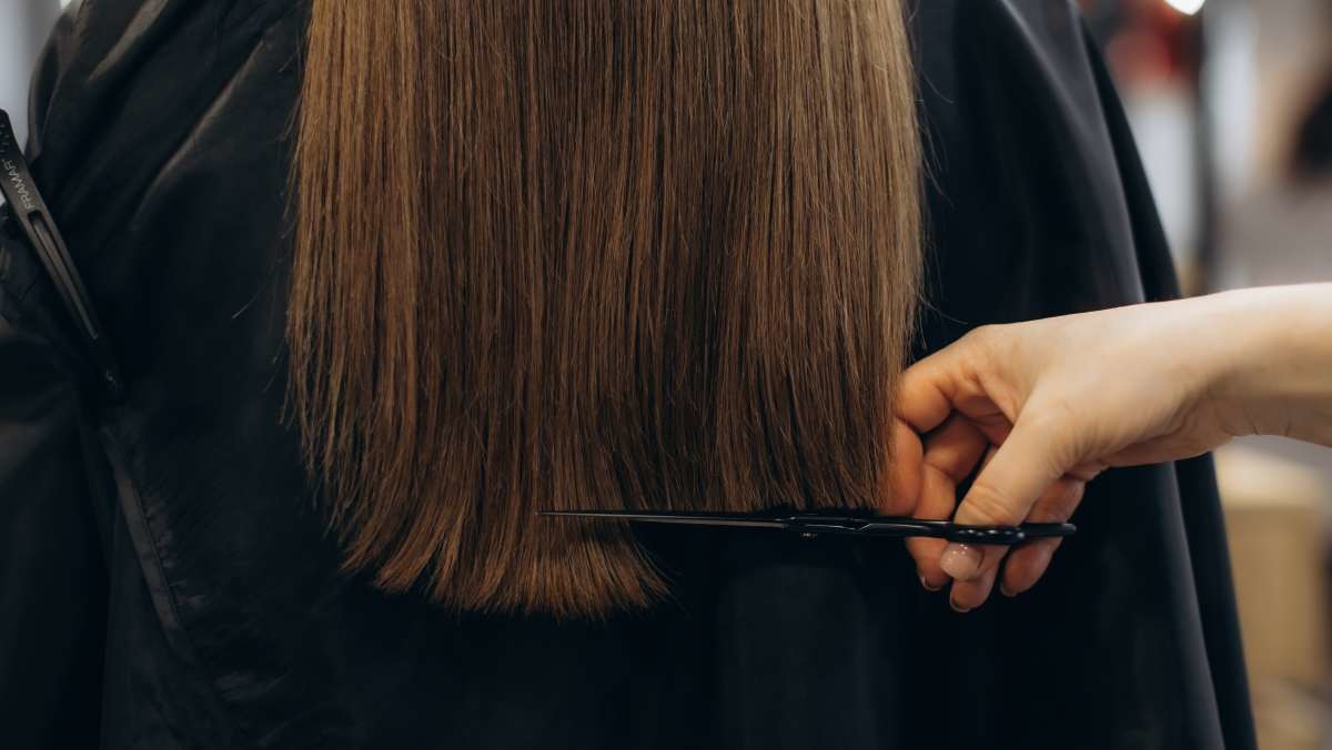 내용 이해를 돕기 위한 사진.  / Roman Fenton-shutterstock.com