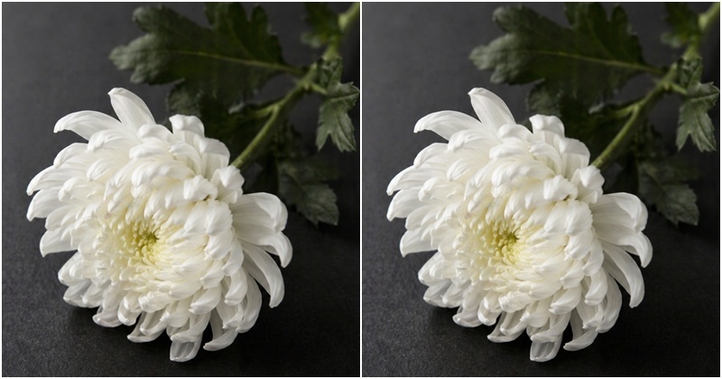 서울대 나와 설경구, 문소리 성장시킨 '이 사람' 별세...“일할 때 기분 좋았다”