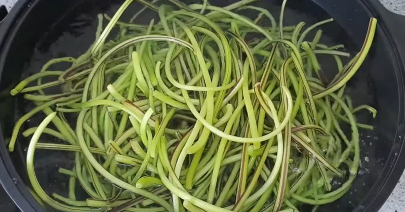 소금 뿌리지 마세요...'요즘' 먹으면 배추김치보다 더 맛있다는 '식재료' 