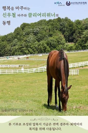 “경주마도 은퇴 이후가 있다”… 부경마주협회, 말복지 기금 첫 시동
