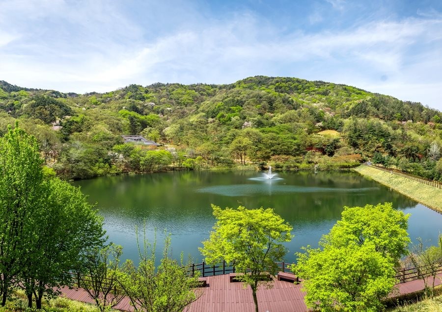 구미시가 반려동물과 함께 머물 수 있는 산림휴양 공간을 조성한다. 사진은 구미옥성자연휴양림 전경.  / 구미시 제공