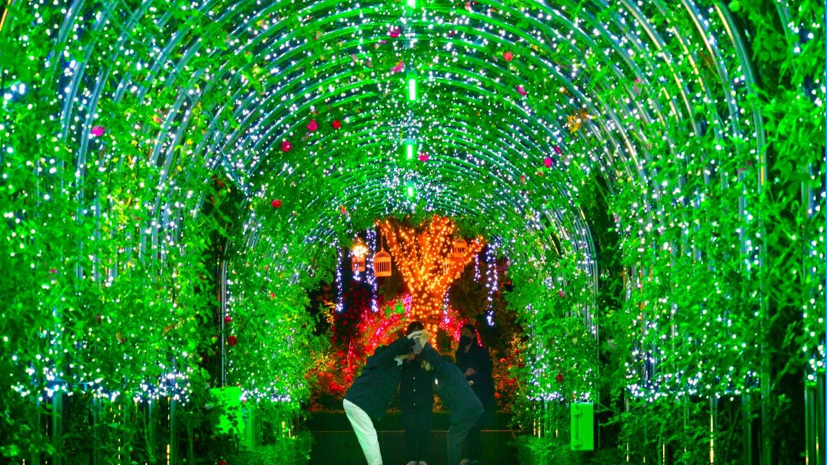 삼척장미공원. / 뉴스1