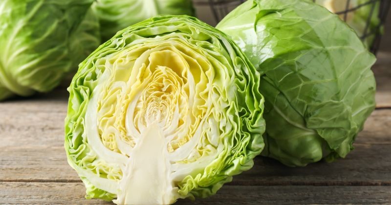 나무 테이블 위의 신선한 양배추와 바구니 / 셔터스톡