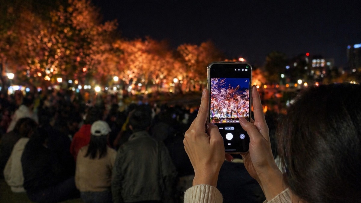 세종낙화축제. / 세종시 공식 블로그, AI
