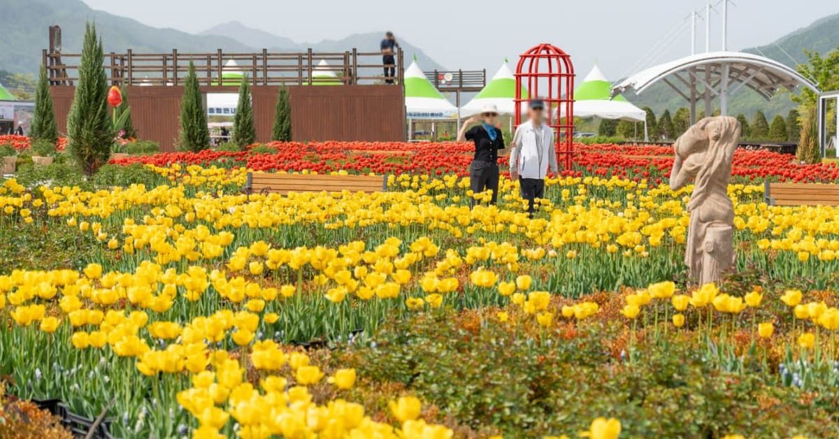 포천 한탄강 봄 가든 페스타 5월 1일 개막…운영 정보 총정리