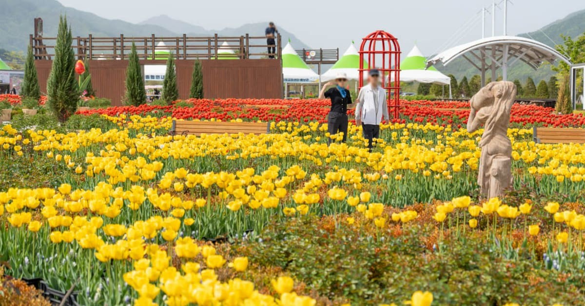 포천 한탄강 봄 가든 페스타 / 포천시