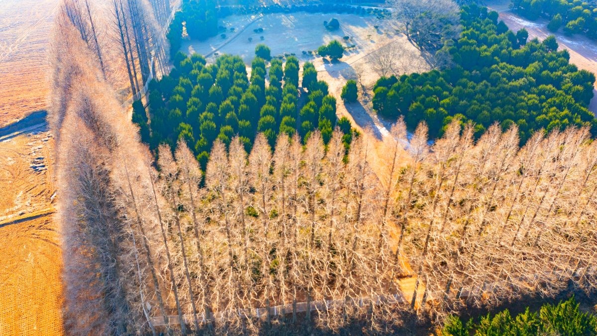 익산 아가페정원. / 연합뉴스