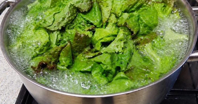 상추에 끓는 물 부어 '이 가루' 섞어 보세요...베개 눕자마자 '꿀잠' 잡니다 