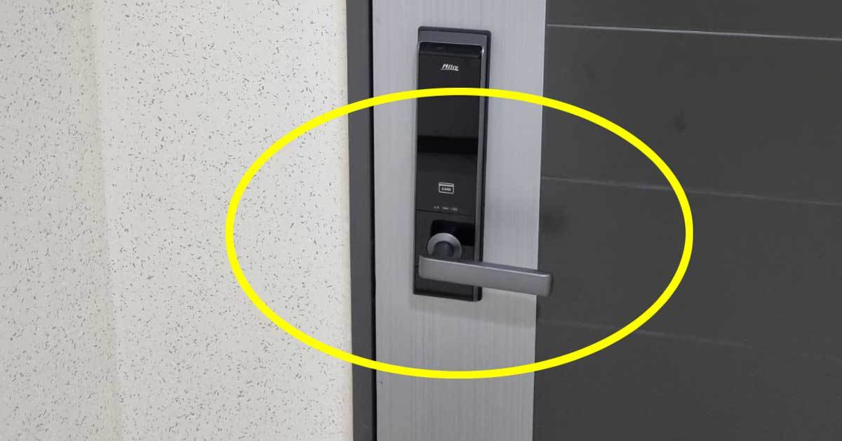 "재물운 부른다" 부자들 현관에는 꼭 있다는 '이 물건'…3위부터 1위까지