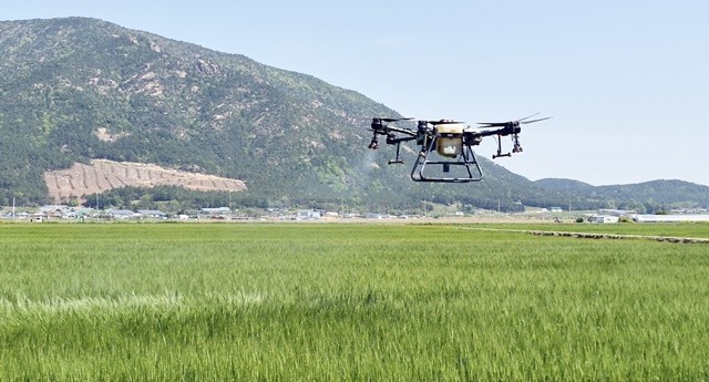 장흥군은 지난 24일 회진면 관흥리 일원에서 ‘장흥블루-청년농부연구회’ 회원 10여 명이 참여한 가운데 드론을 활용한 맥류(보리·밀) 영양제 살포 봉사활동을 실시했다. / 장흥군