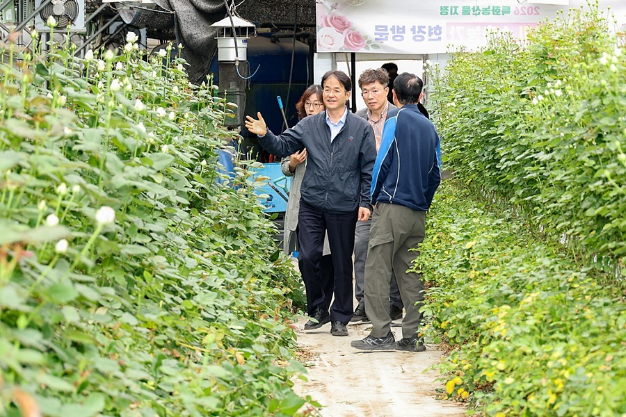이동환 고양시장, BTS도 반한 '보랏빛 K-장미' 재배 농가 방문
