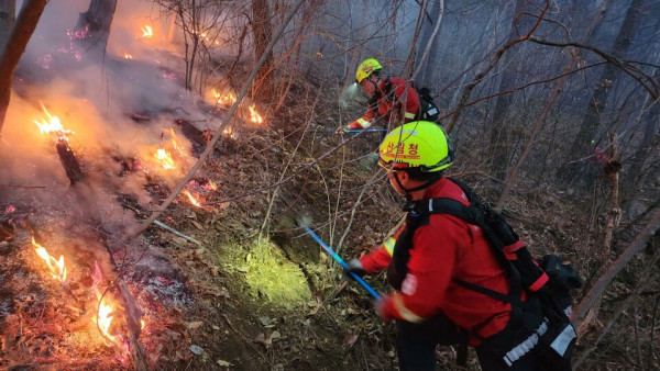 지난해 3월 울산시 울주군에서 발생한 산불을 진화하는 산불 진화대의 모습. 사진=산림청 제공.