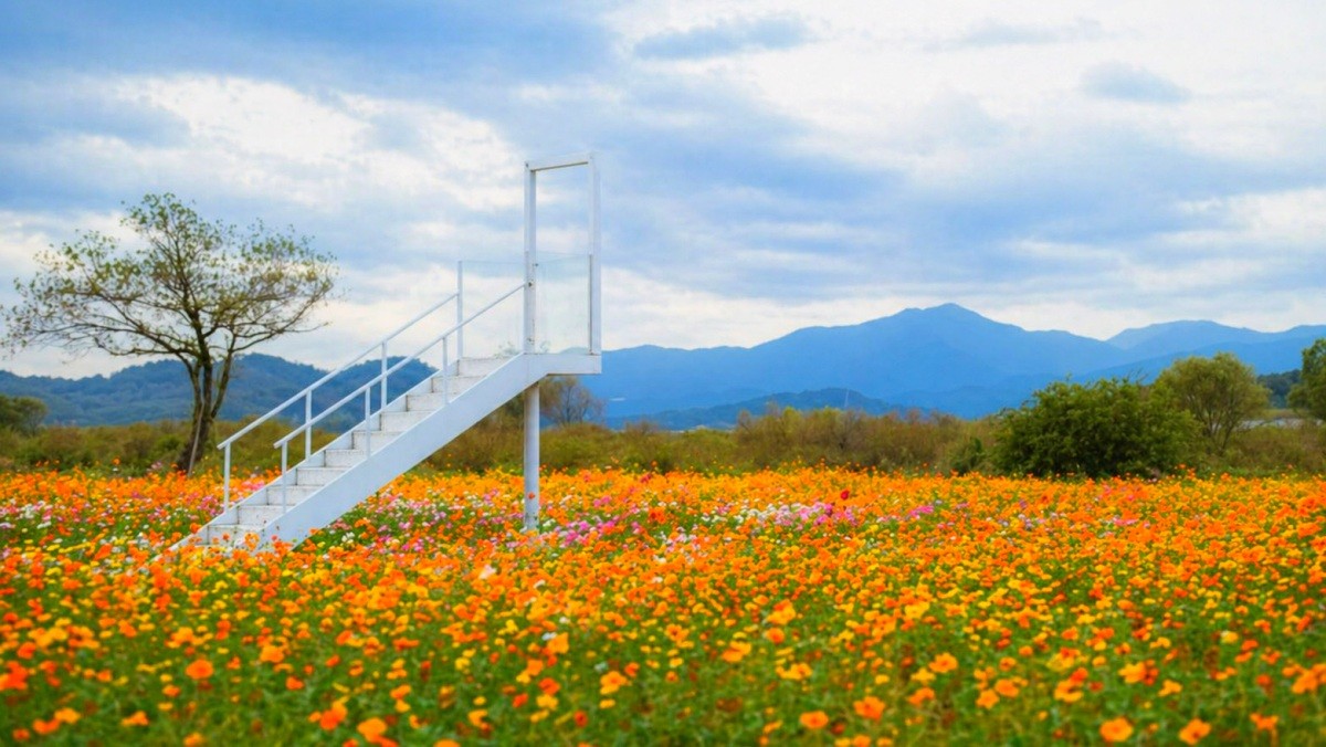 함안 악양둑방. / 함안군 공식 블로그, AI