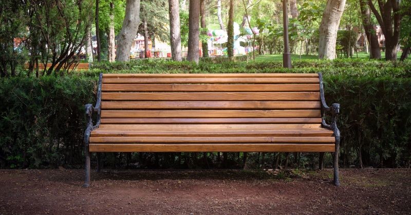 나무를 배경으로 한 도시 공원의 아름다운 나무 장식 벤치. / 셔터스톡