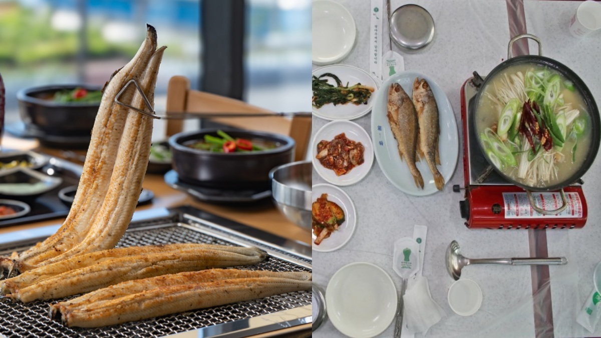 제철 장어에 우럭젓국까지…오늘 ‘생생정보’ 맛집 어디 찍혔나