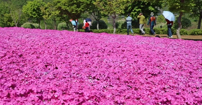 기사의 이해를 돕기 위한 사진 / 뉴스1