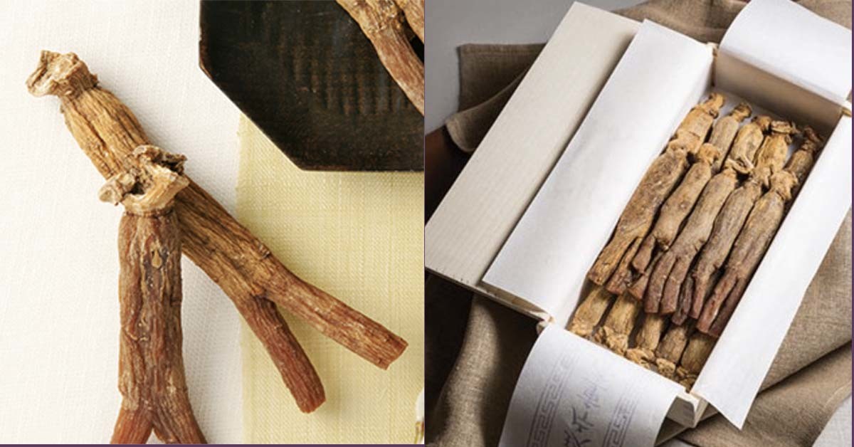 홍삼. / 한국인삼공사 제공