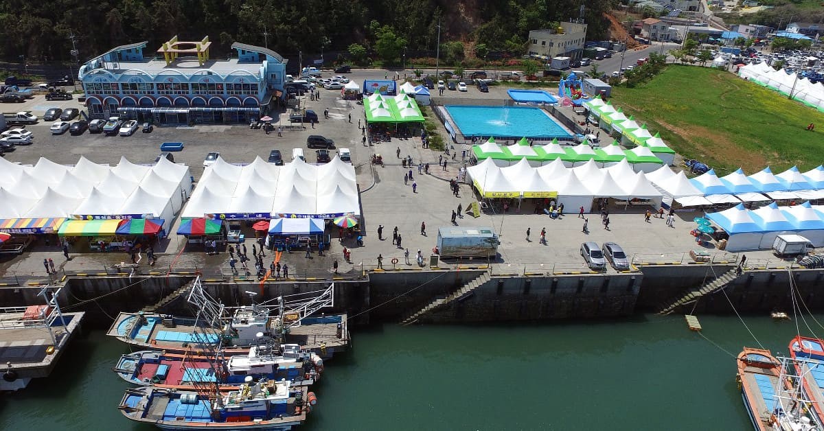 서천 자연산 광어 도미 축제 / 서천군