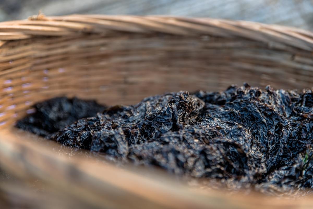 물김 자료사진 / livebear chen-shutterstock.com