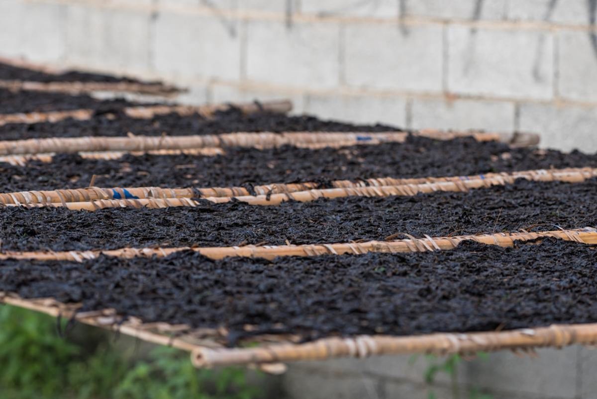 물김 자료사진 / livebear chen-shutterstock.com