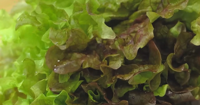 유튜브 '함께해요 맛나요리'