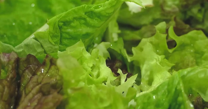 유튜브 '함께해요 맛나요리'