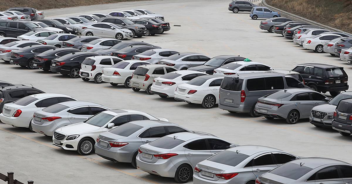 명품도 맛집도 아닌데…새벽 4시부터 줄 선다, 요즘 5060 몰려든 ‘이것’ 정체