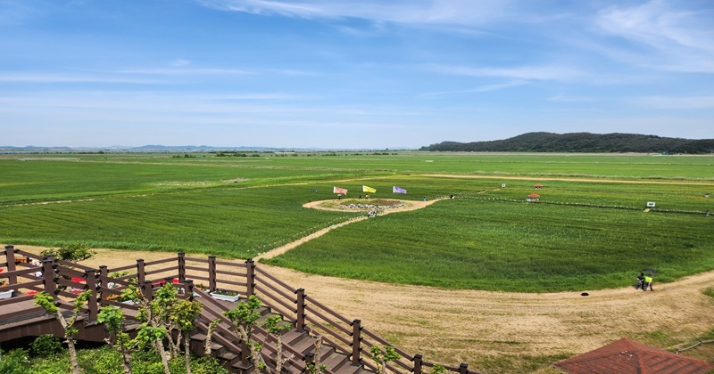  걷는 순간 힐링! 보리밭으로 떠나는 봄 여행