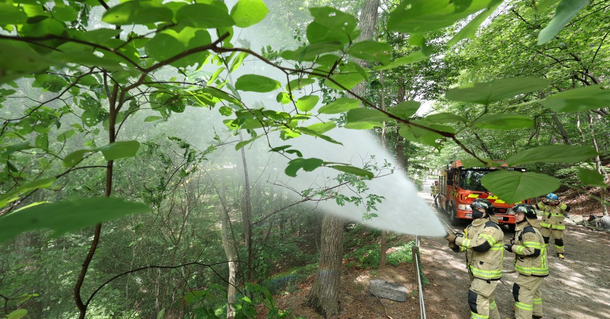한 쌍이 수백 개 알 낳는다… 올해도 대량 출몰 조짐 보이는 ‘여름 불청객’