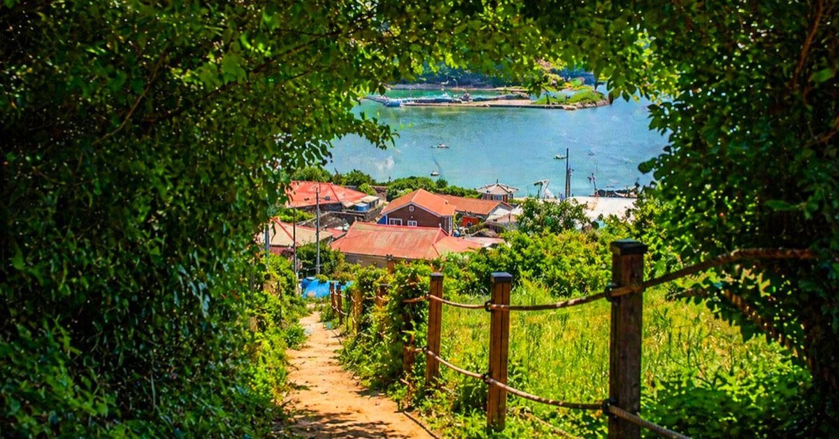 주민보다 고양이가 더 많다고?... 배 타고 5분이면 만나는 국내 유일의 '고양이 섬'