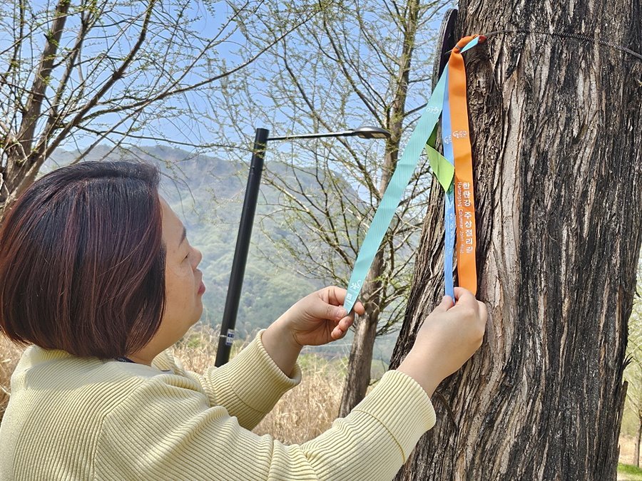 "유네스코가 빚은 80km 절경" 포천시, 한탄강 주상절리길 행락객 맞이 준비 끝