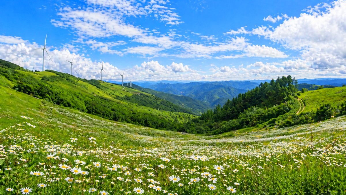 평창 육백마지기. 기사 내용 토대로 AI툴 활용해 제작한 자료사진.