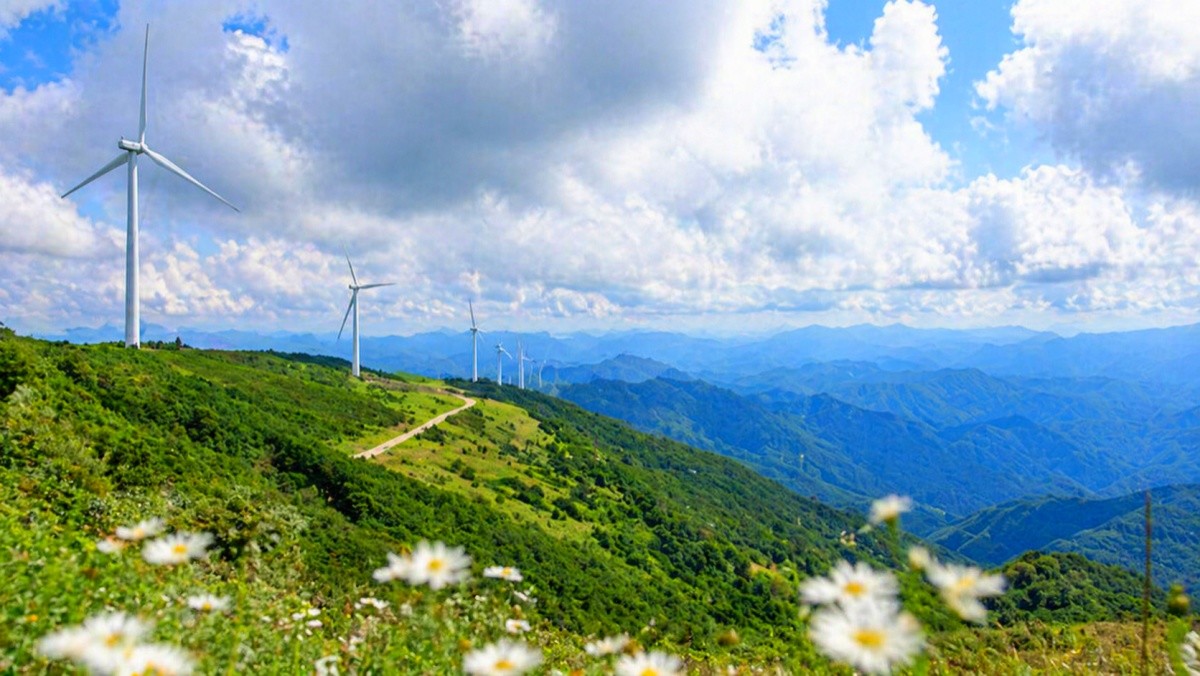 육백마지기. 기사 내용 토대로 AI툴 활용해 제작한 자료사진.