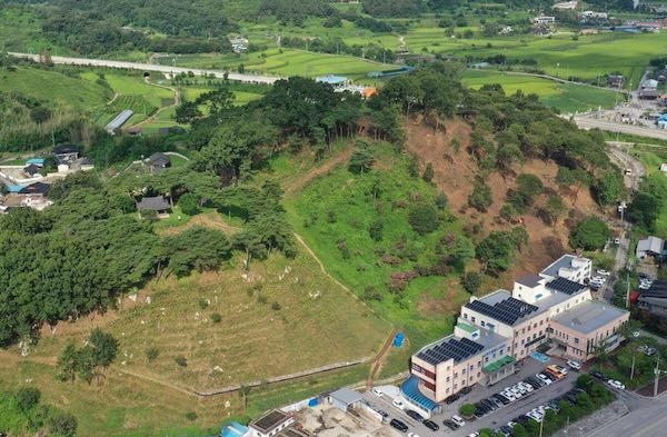 순창 숲가꾸기 사업 / 순창군