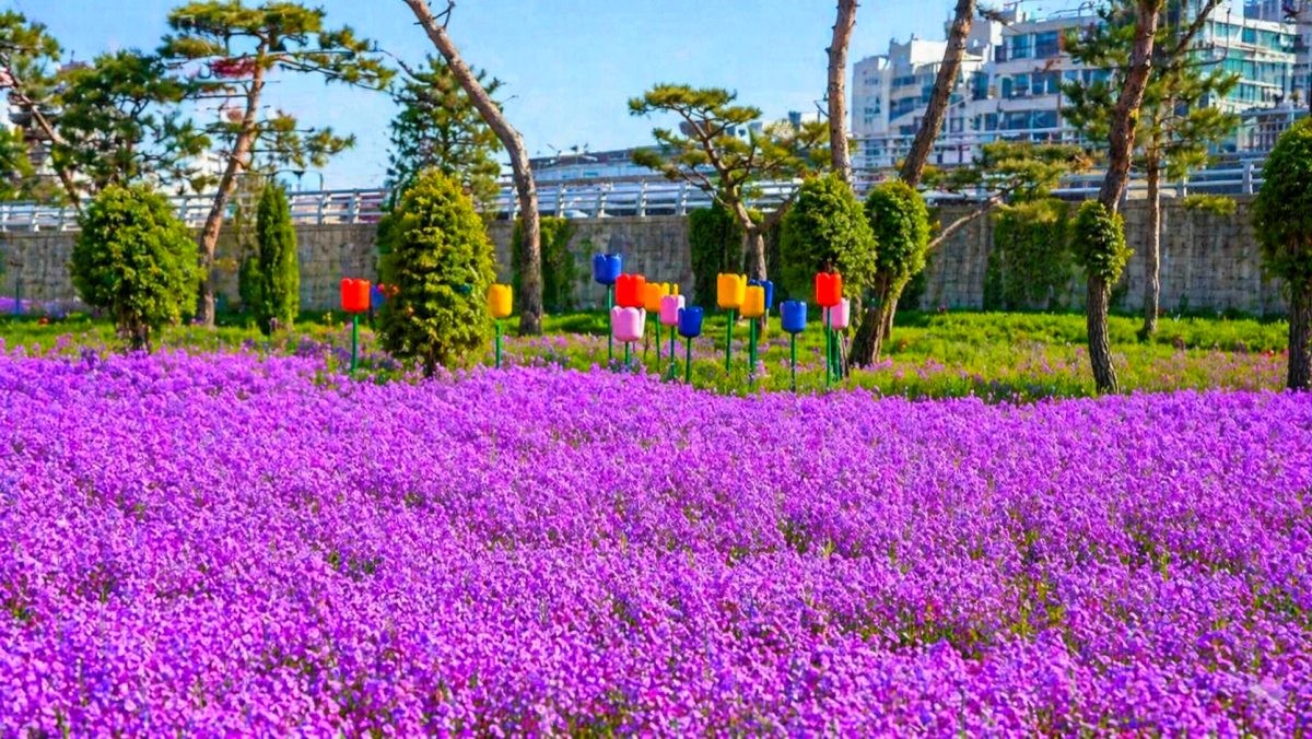 영천 생태지구공원. / 영천시 공식 블로그, AI