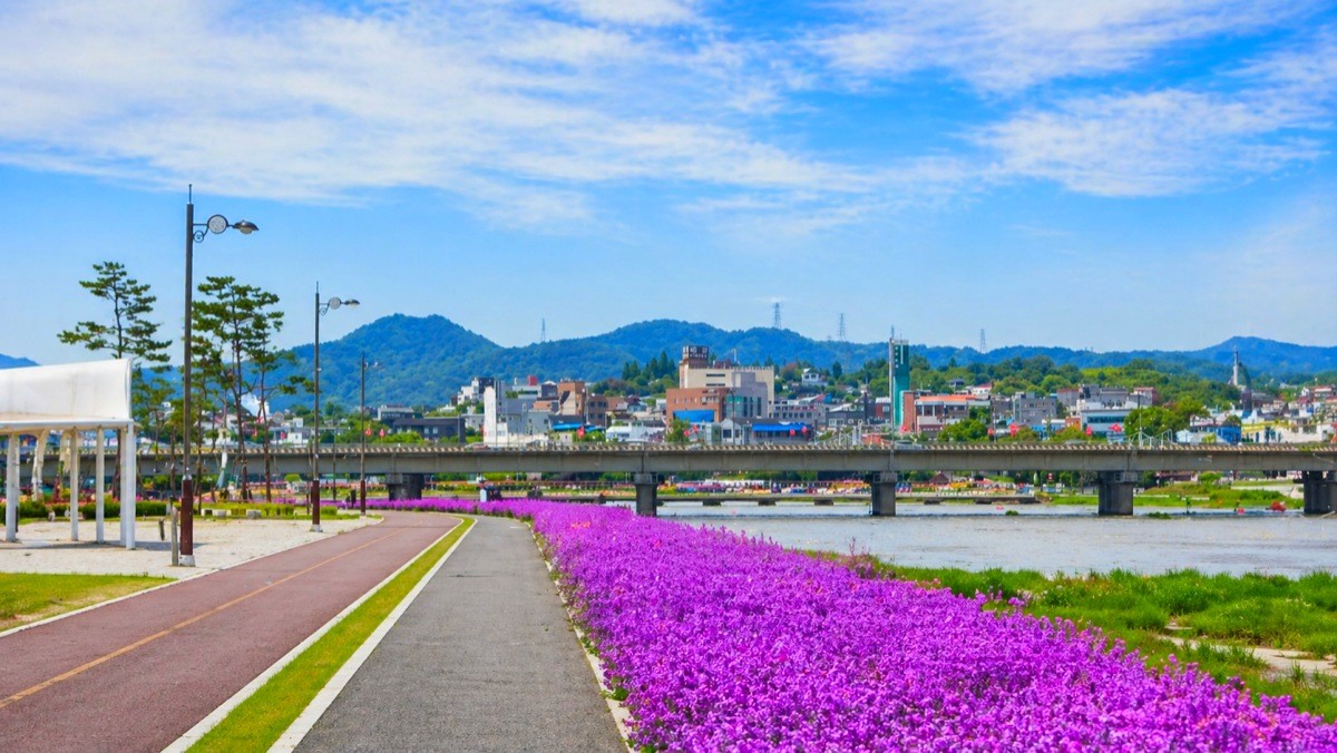 영천 생태지구공원. / 영천시 공식 블로그, AI