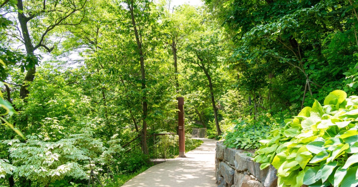 영흥 수목원 / 영흥 수목원