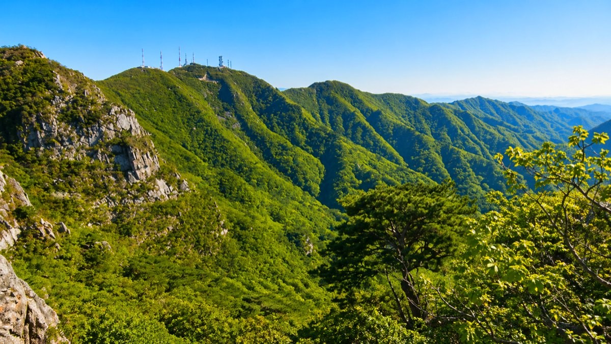 팔공산. 기사 내용 토대로 AI툴 활용해 제작한 자료사진.
