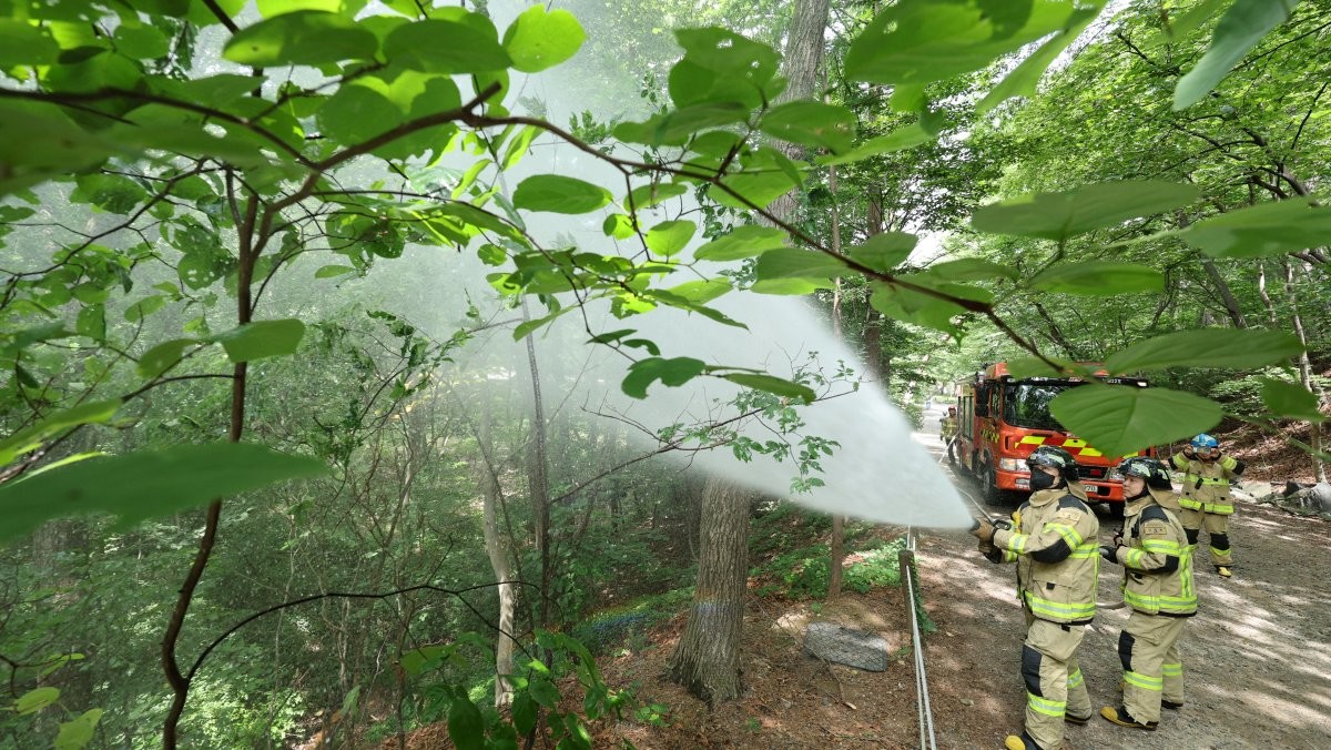 지난해 서울 노원구 삼육대학교에서 소방대원들이 살수차를 이용해 붉은등우단털파리(러브버그) 방제 활동을 하고 있다. / 뉴스1