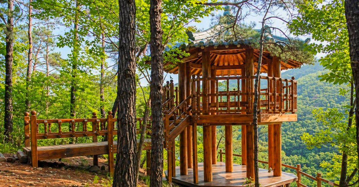 이럴 수가… 국민 MC가 '제2의 고향'으로 점찍은 의외의 대구 명소