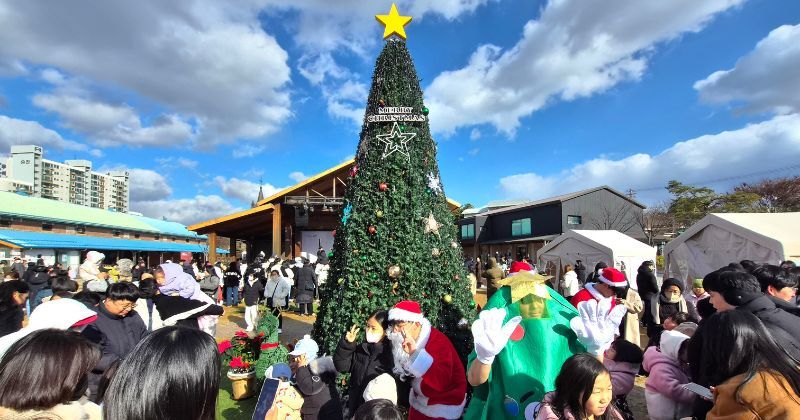 [대한루마니아인 한국생활] “크리스마스에 돼지를 잡는다?” 루마니아인이 한국에서 느낀 연말 문화 충격