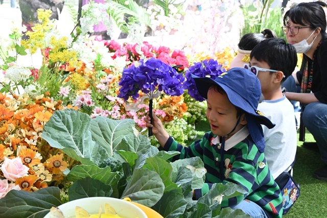 “내 손에 나비가 사뿐!” 제28회 함평나비대축제 ‘나비 먹이주기 체험’ 인기몰이