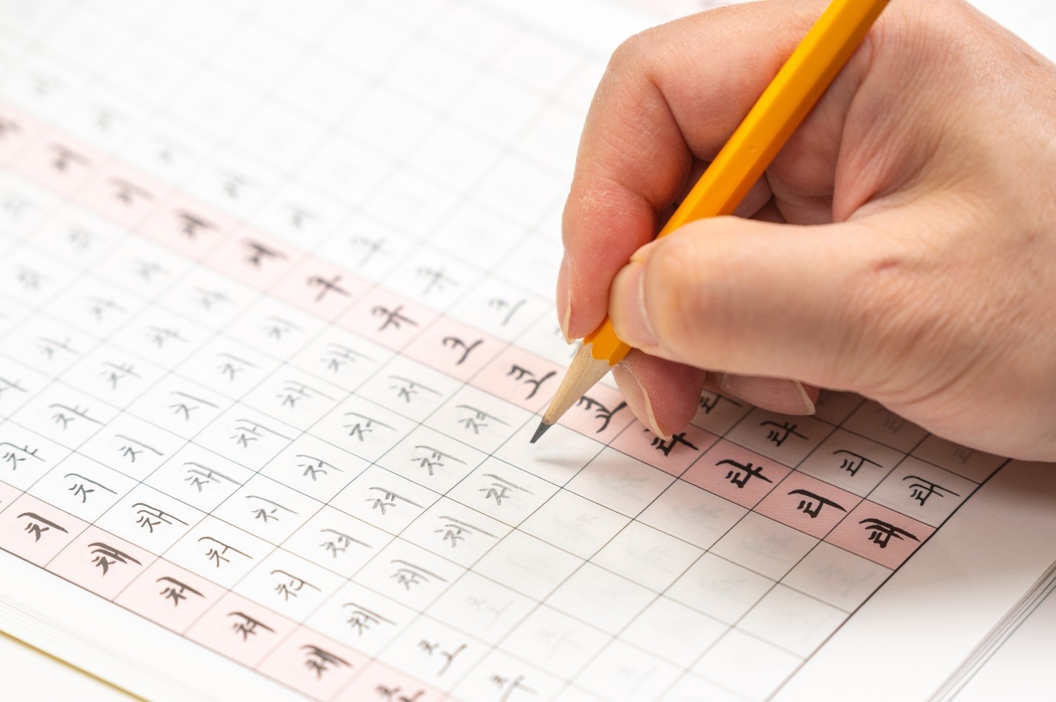 한글 연습장을 펴고 연필로 글자를 따라 쓰고 있는 장면. 한국어를 배우는 외국인 학습자의 집중된 모습이 담겨 있다. / 셔터스톡