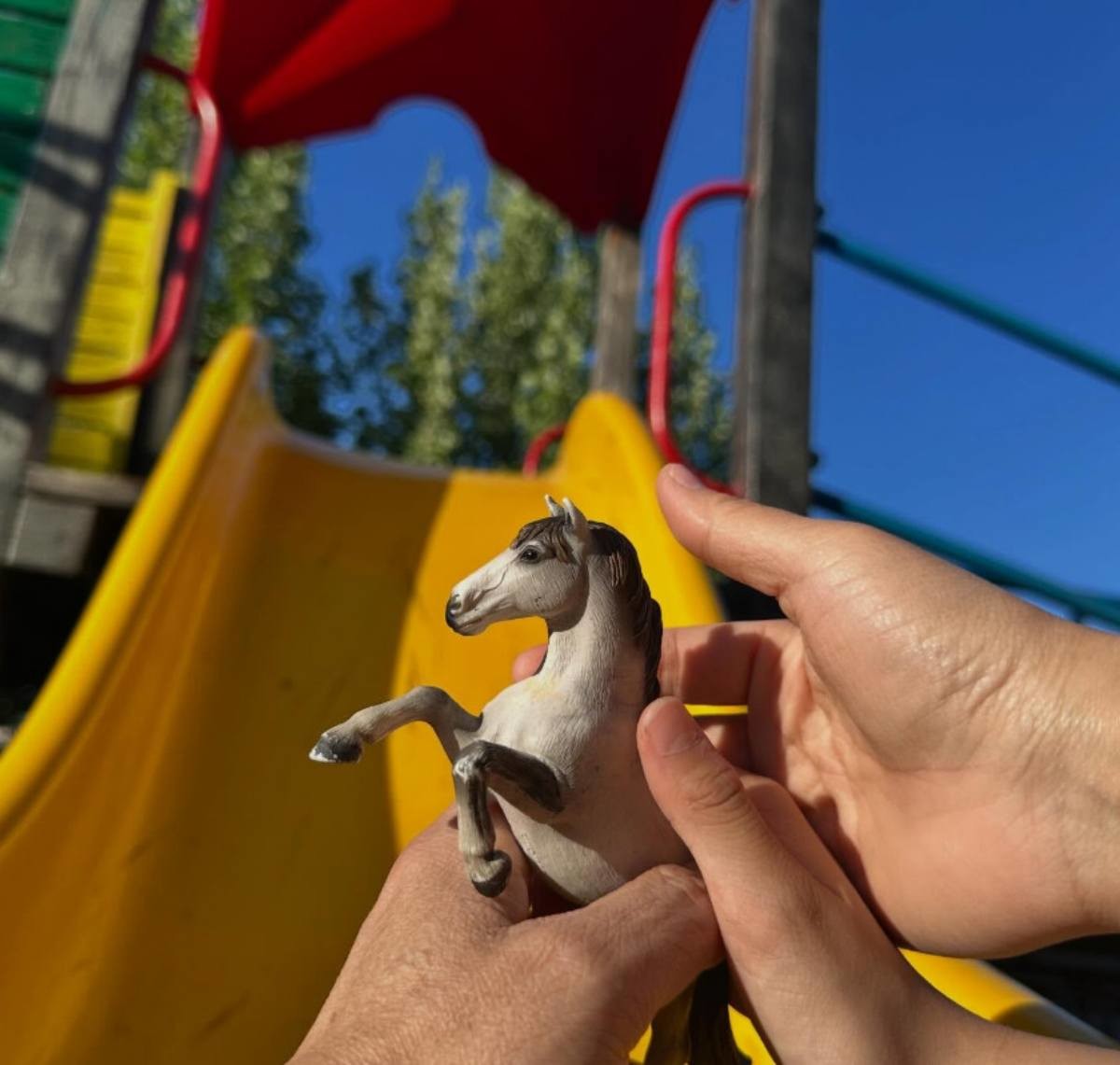 탕웨이가 둘째 임신 소식 전하며 올린 사진. / 탕웨이 개인 인스타그램