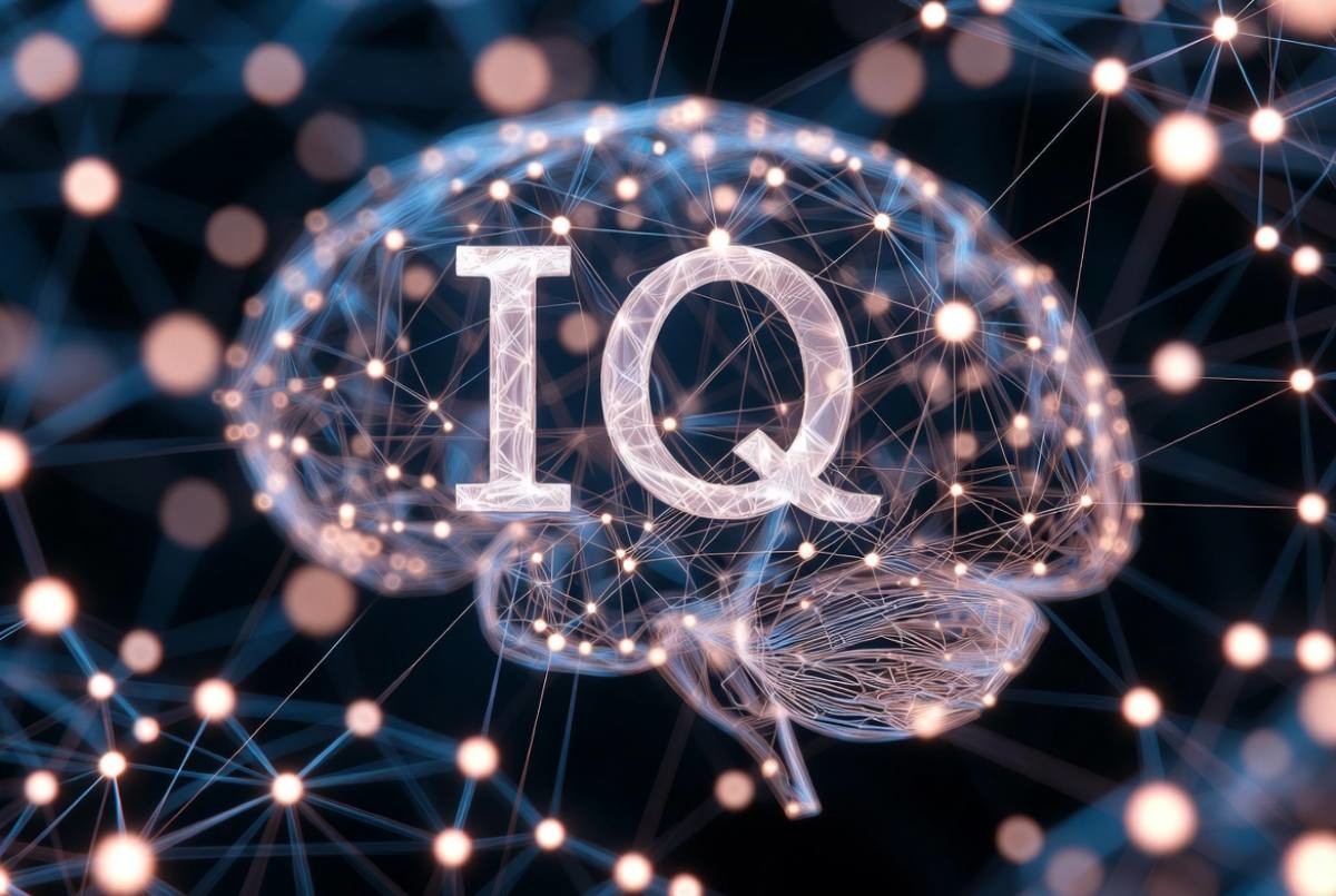 IQ 테스트. 기사 내용을 바탕으로 제작한 자료사진.