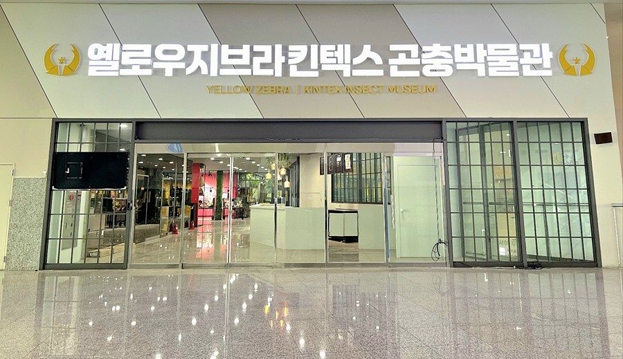 킨텍스 곤충박물관 '옐로우지브라'