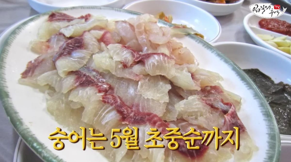 숭어회. 숭어는 5월 초중순까지 먹으면 좋다. / 유튜브 '입질의추억TV jiminTV'