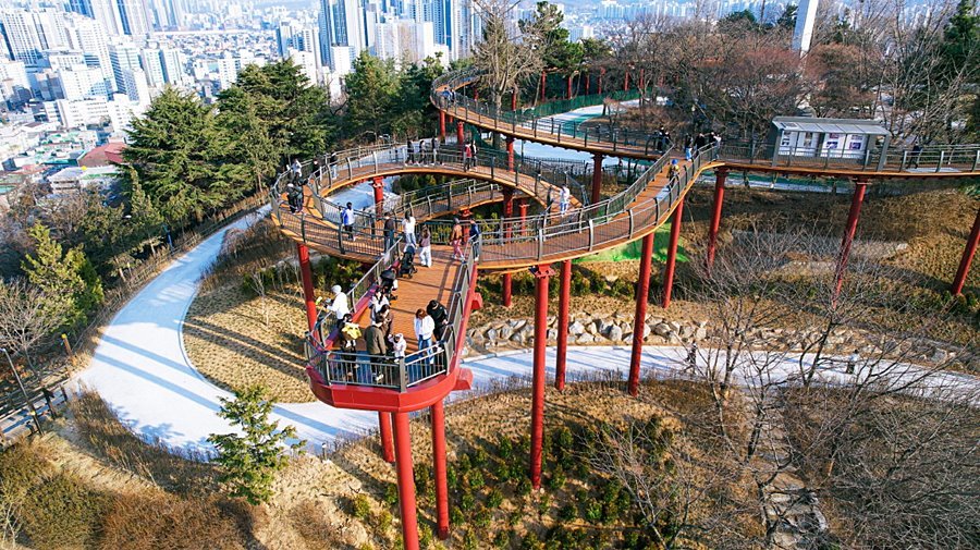 "하늘 위 걷자 8만 명 몰렸다" 미추홀구, 수봉공원 스카이워크 '대박'
