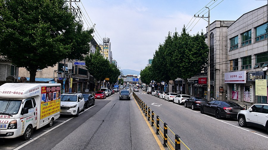 "낙엽 쌓이고 악취 나던 시민로의 변신" 양평군, 가로수 제거로 '시야 확'